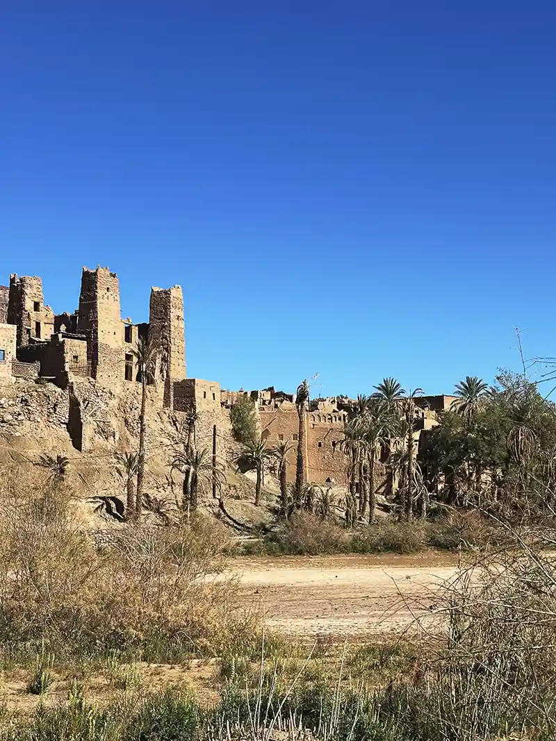 Palm-filled Draa Valley landscape near Zagora, Morocco