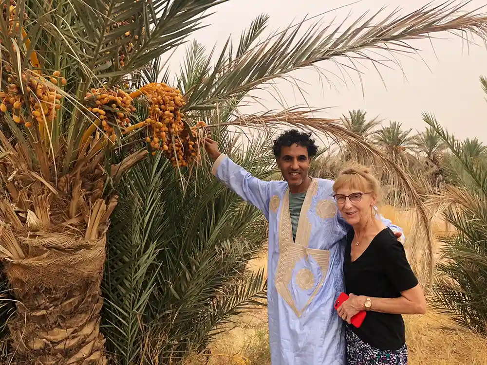 Draa Valley palm groves on the route from Zagora to M'Hamid