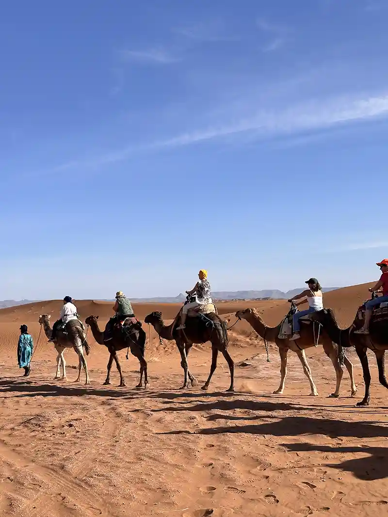 Camel ride at sunset among the Erg Chigaga dunes, Tour From Ouarzazate