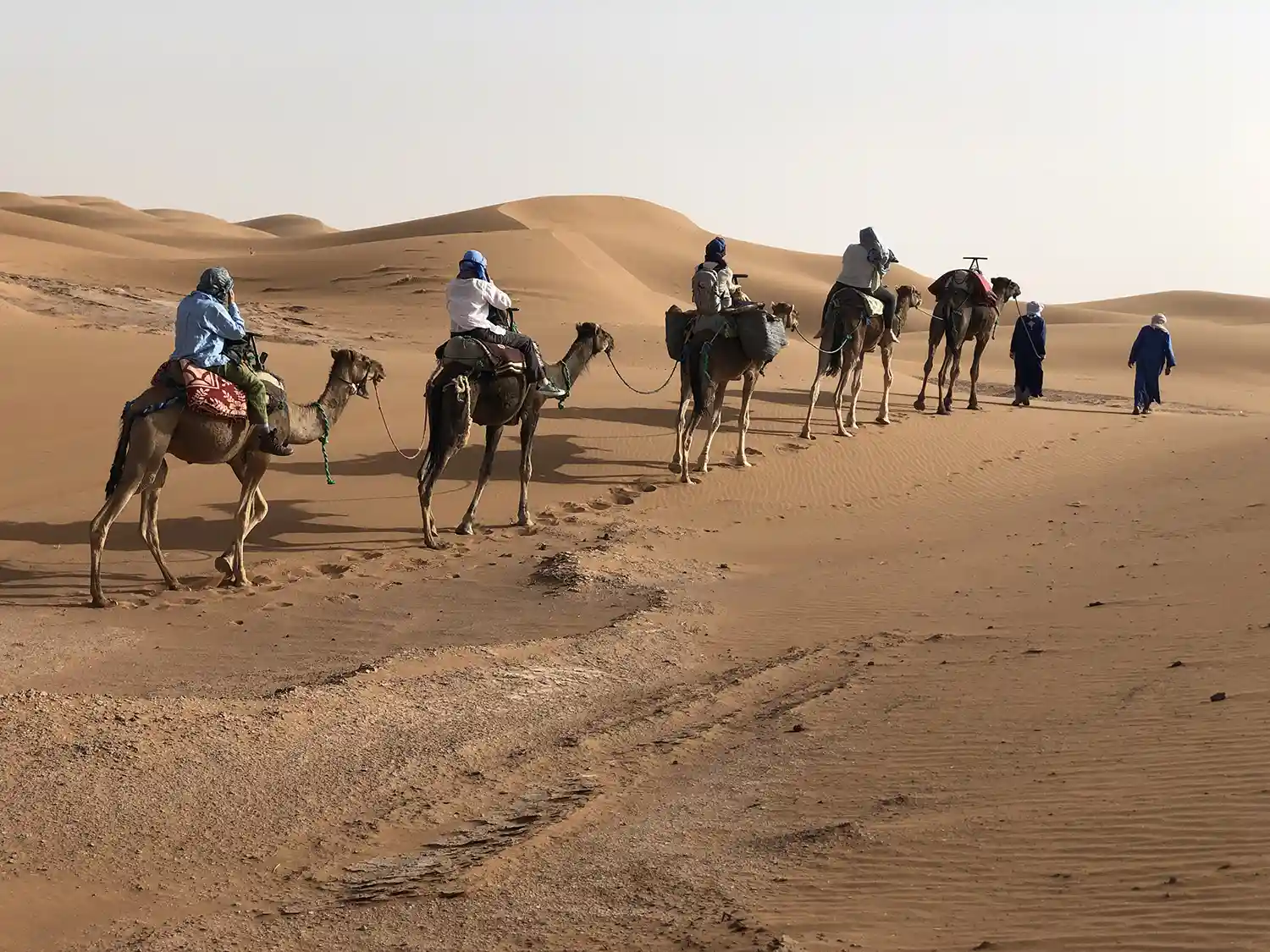 Camel ride at sunset among the Erg Chigaga sand dunes