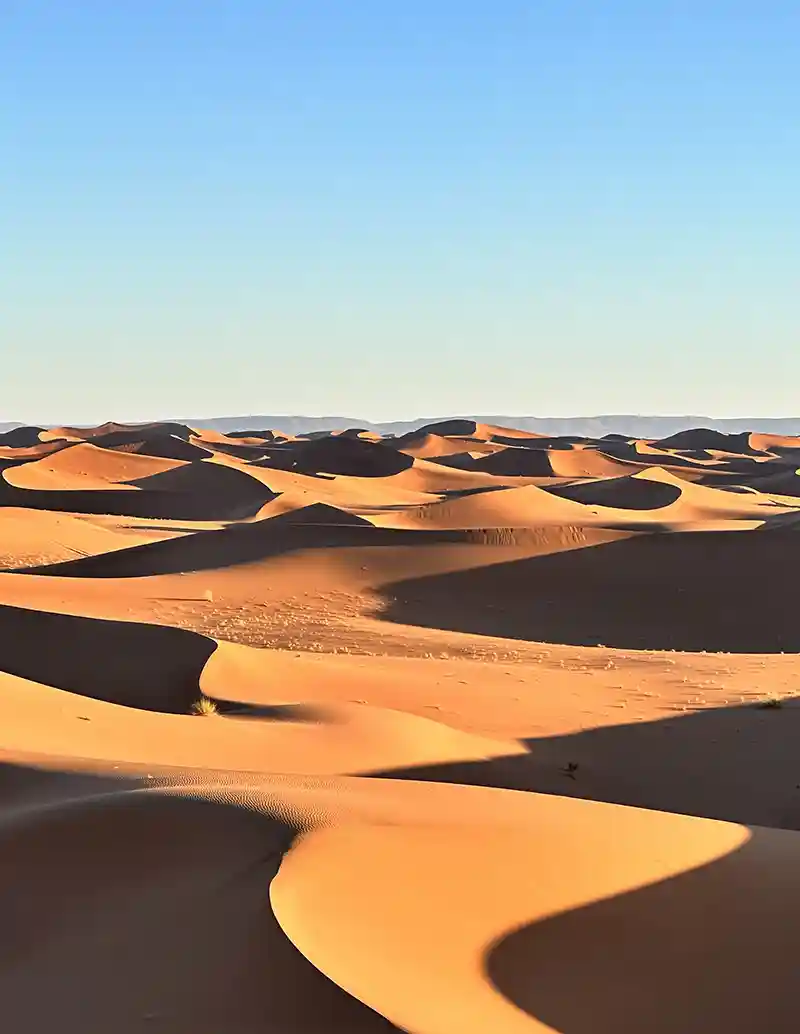 Desert camp among the Erg Chigaga dunes on the Ouarzazate tour