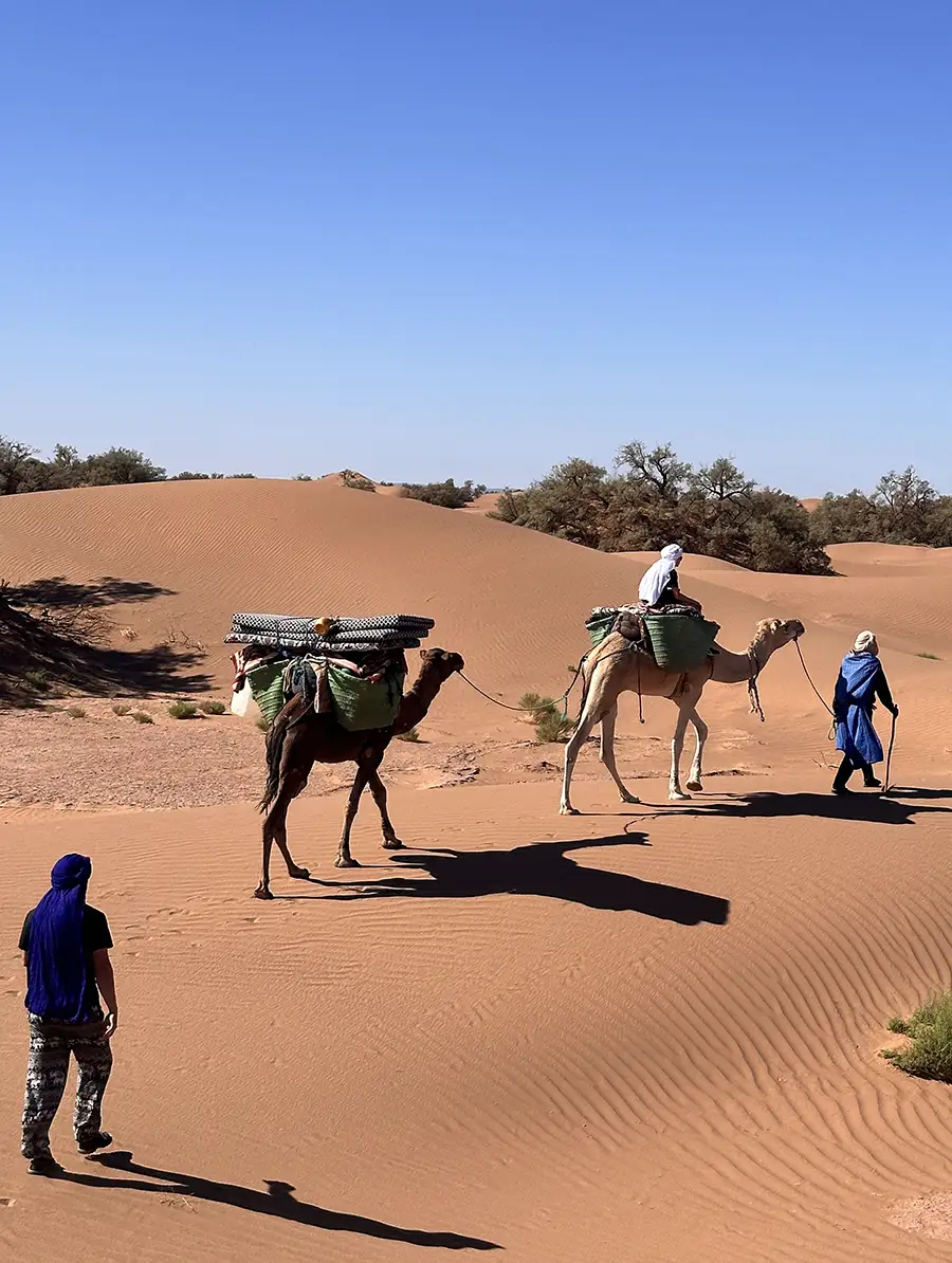 Hikers walking through the golden Erg Chigaga dunes during a Sahara desert trekking adventure