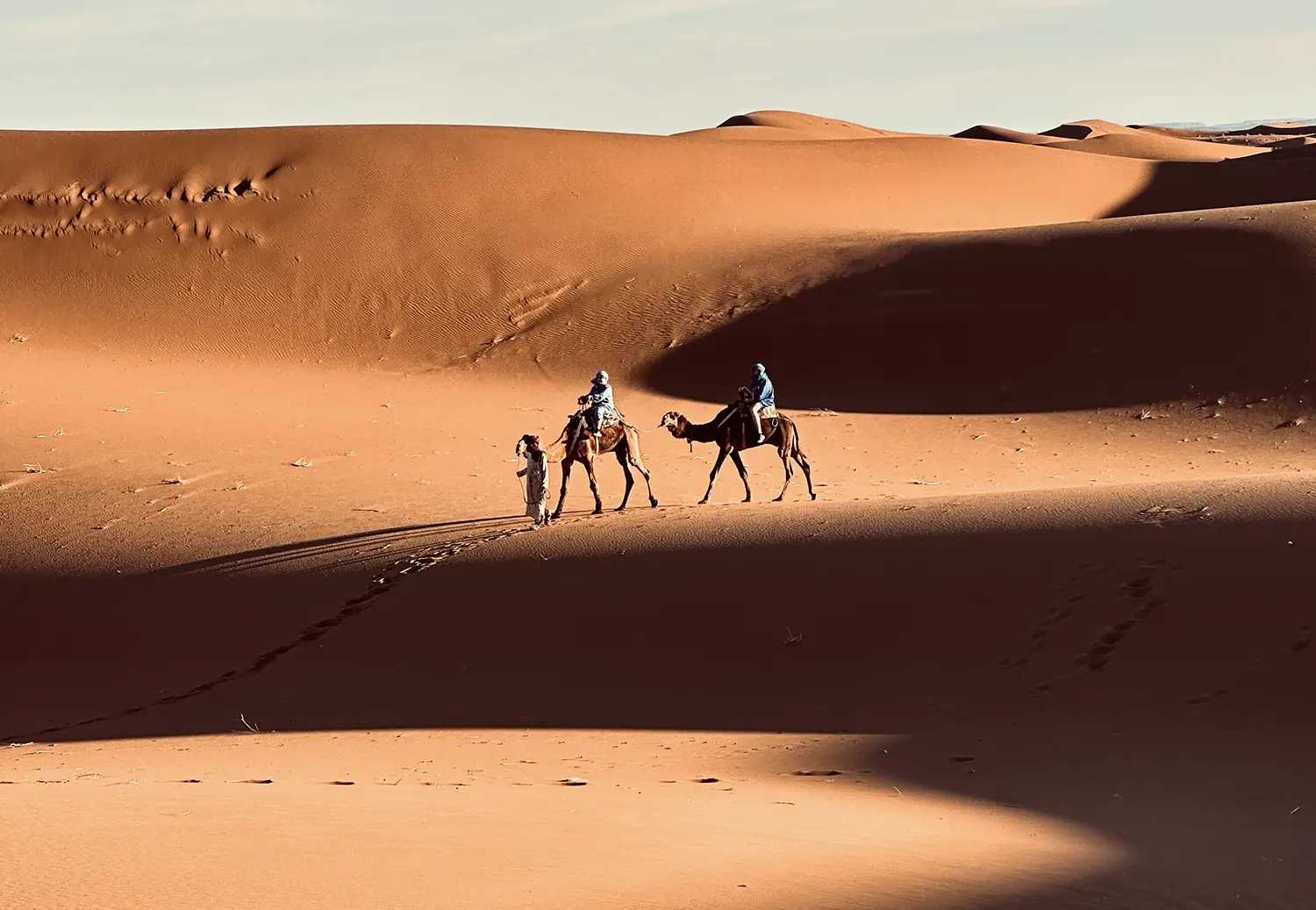 Camel ride at sunset among the Erg Chigaga desert dunes