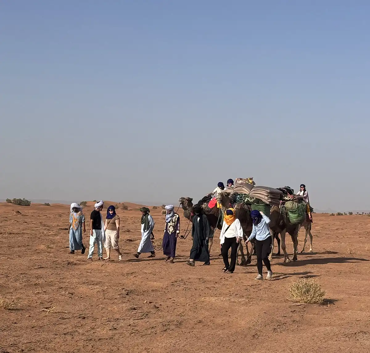 Camel caravan trekking across the Sahara Desert with travelers and guides