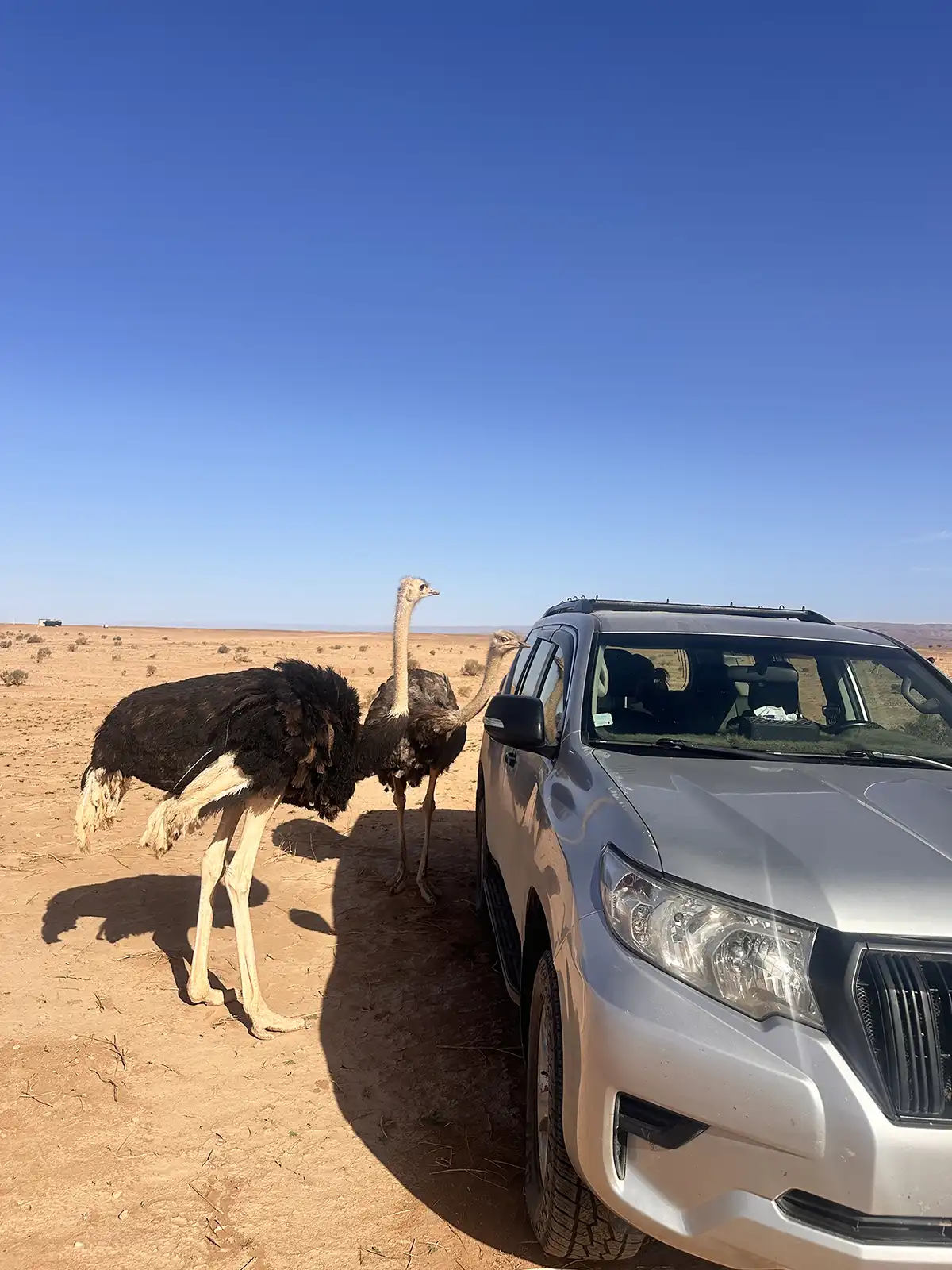 2 Days Erg Chigaga 4×4 Safari from Zagora